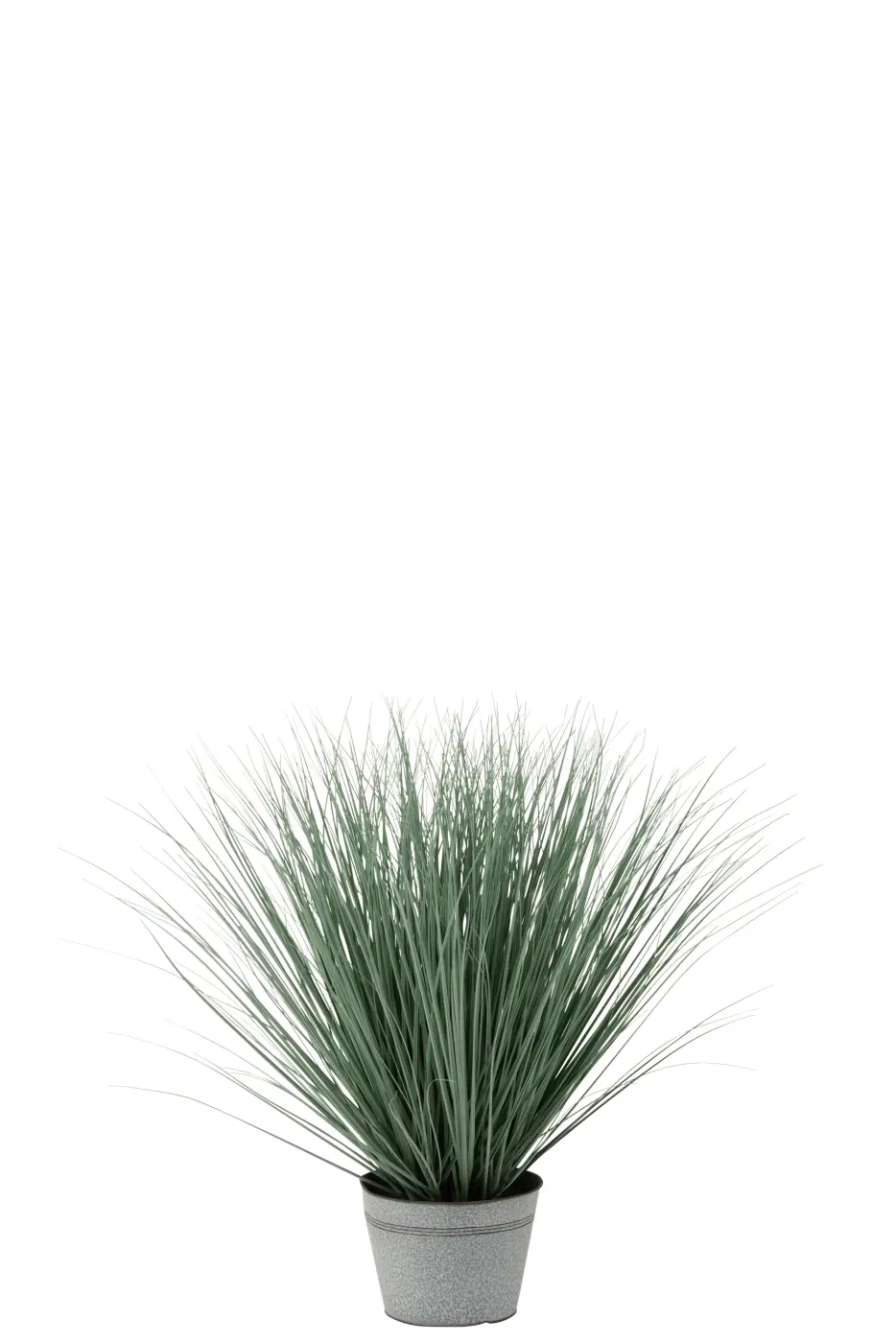 Gräser